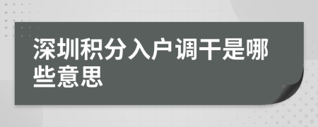 深圳积分入户调干是哪些意思