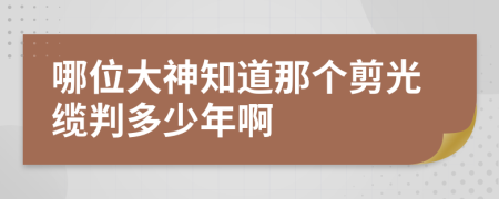 哪位大神知道那个剪光缆判多少年啊