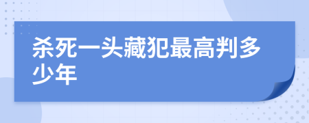 杀死一头藏犯最高判多少年