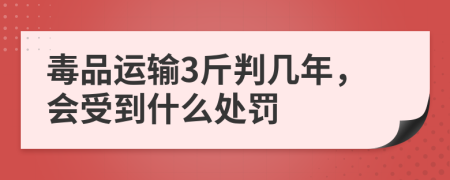 毒品运输3斤判几年，会受到什么处罚