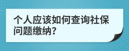 个人应该如何查询社保问题缴纳？