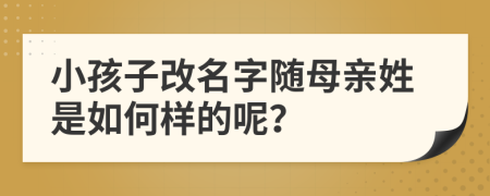 小孩子改名字随母亲姓是如何样的呢？