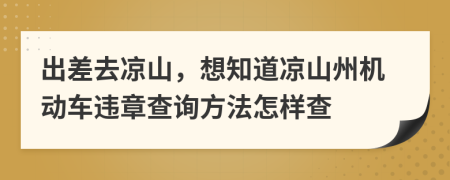 出差去凉山，想知道凉山州机动车违章查询方法怎样查