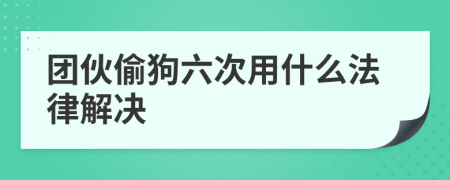 团伙偷狗六次用什么法律解决