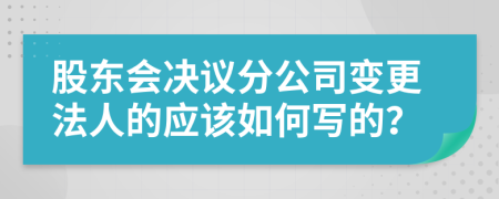 股东会决议分公司变更法人的应该如何写的？