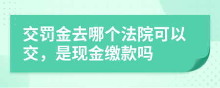 交罚金去哪个法院可以交，是现金缴款吗