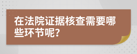 在法院证据核查需要哪些环节呢？