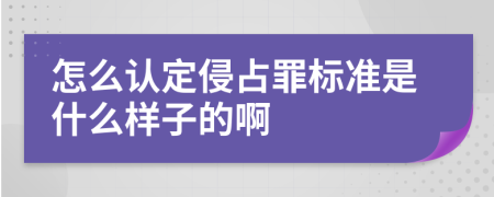 怎么认定侵占罪标准是什么样子的啊