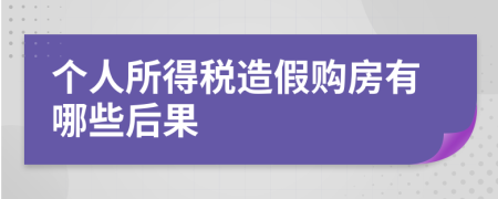 个人所得税造假购房有哪些后果