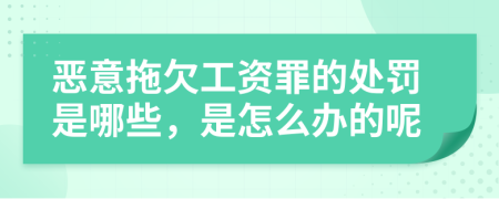 恶意拖欠工资罪的处罚是哪些，是怎么办的呢