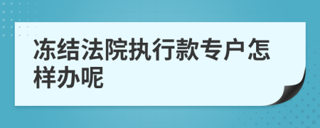 冻结法院执行款专户怎样办呢