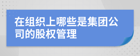 在组织上哪些是集团公司的股权管理