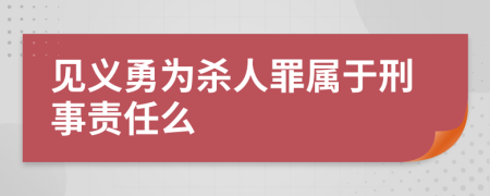 见义勇为杀人罪属于刑事责任么