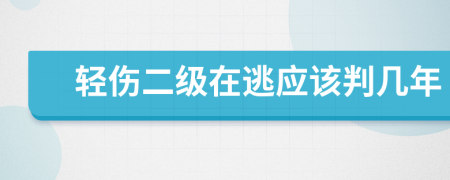 轻伤二级在逃应该判几年