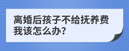 离婚后孩子不给抚养费我该怎么办？