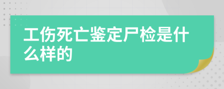 工伤死亡鉴定尸检是什么样的