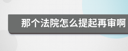 那个法院怎么提起再审啊