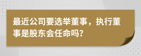 最近公司要选举董事，执行董事是股东会任命吗？