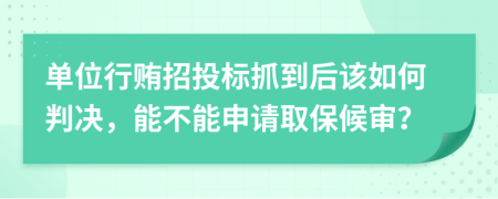 单位行贿招投标抓到后该如何判决，能不能申请取保候审？