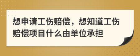 想申请工伤赔偿，想知道工伤赔偿项目什么由单位承担