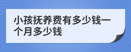 小孩抚养费有多少钱一个月多少钱