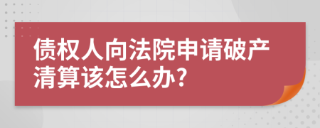 债权人向法院申请破产清算该怎么办?