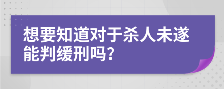 想要知道对于杀人未遂能判缓刑吗？