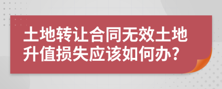 土地转让合同无效土地升值损失应该如何办?