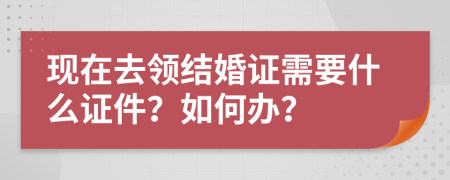 现在去领结婚证需要什么证件？如何办？