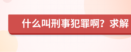 什么叫刑事犯罪啊？求解