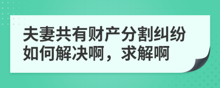 夫妻共有财产分割纠纷如何解决啊，求解啊