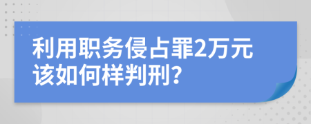 利用职务侵占罪2万元该如何样判刑？