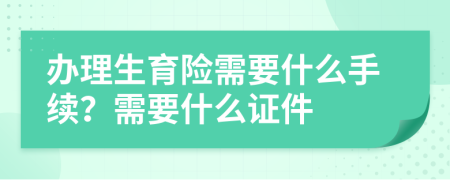 办理生育险需要什么手续？需要什么证件