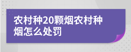 农村种20颗烟农村种烟怎么处罚
