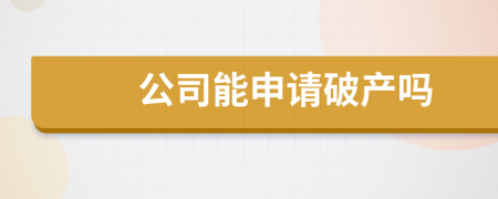 公司能申请破产吗