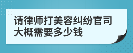 请律师打美容纠纷官司大概需要多少钱