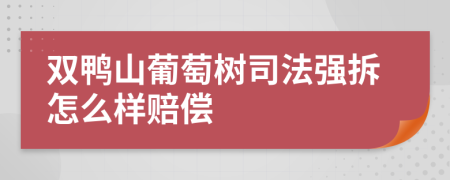 双鸭山葡萄树司法强拆怎么样赔偿