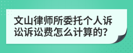 文山律师所委托个人诉讼诉讼费怎么计算的？
