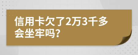 信用卡欠了2万3千多会坐牢吗？