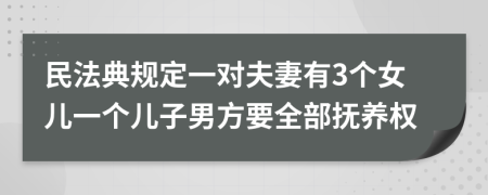 民法典规定一对夫妻有3个女儿一个儿子男方要全部抚养权