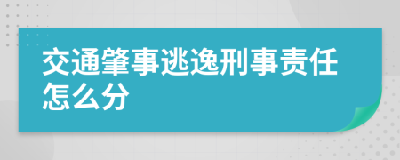 交通肇事逃逸刑事责任怎么分