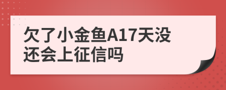 欠了小金鱼A17天没还会上征信吗