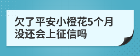 欠了平安小橙花5个月没还会上征信吗