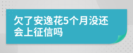 欠了安逸花5个月没还会上征信吗