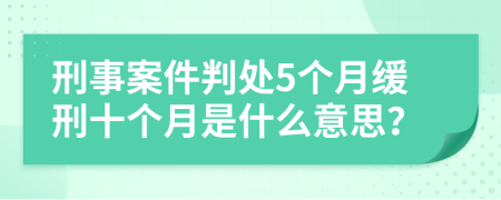 刑事案件判处5个月缓刑十个月是什么意思？