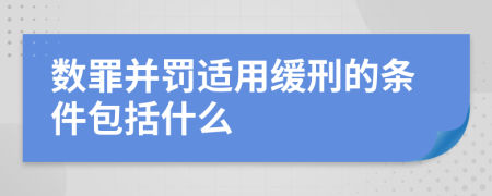 数罪并罚适用缓刑的条件包括什么