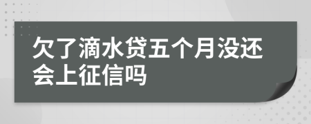 欠了滴水贷五个月没还会上征信吗