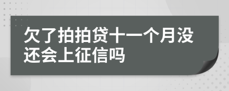 欠了拍拍贷十一个月没还会上征信吗