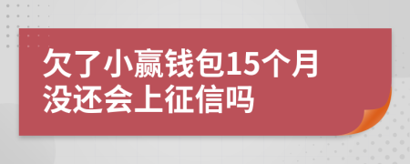 欠了小赢钱包15个月没还会上征信吗