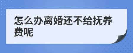 怎么办离婚还不给抚养费呢